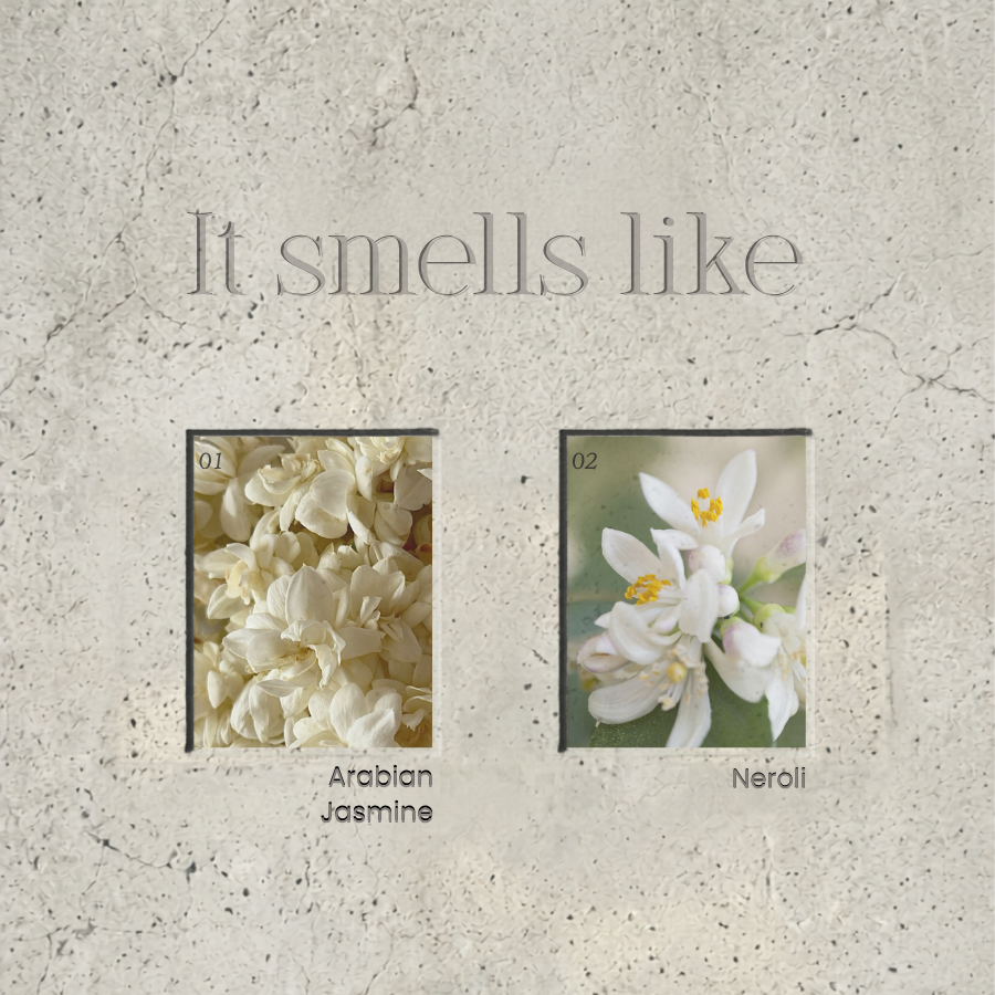 Yin Yang | Gazra | Alcor & Mizar Candles