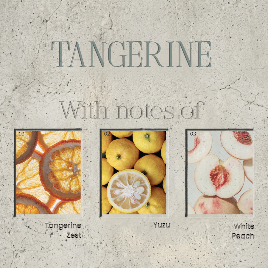 Tangerine | Eterna Collection | By Scent | Alcor & Mizar Candles